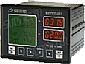 Belt Scale Feeding Controller BST100-A11